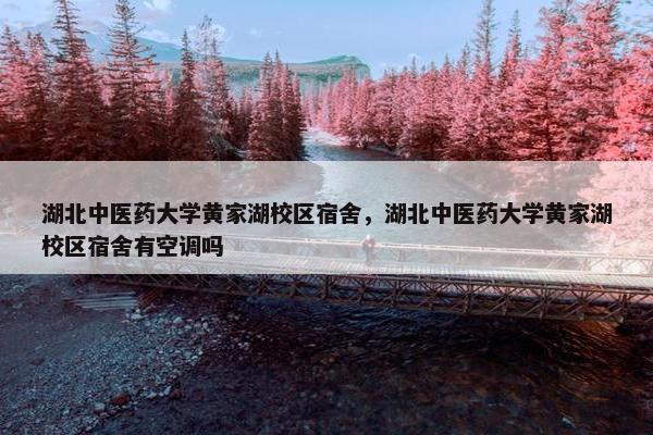 湖北中医药大学黄家湖校区宿舍，湖北中医药大学黄家湖校区宿舍有空调吗