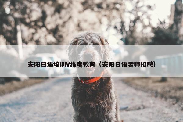 安阳日语培训V维度教育（安阳日语老师招聘）