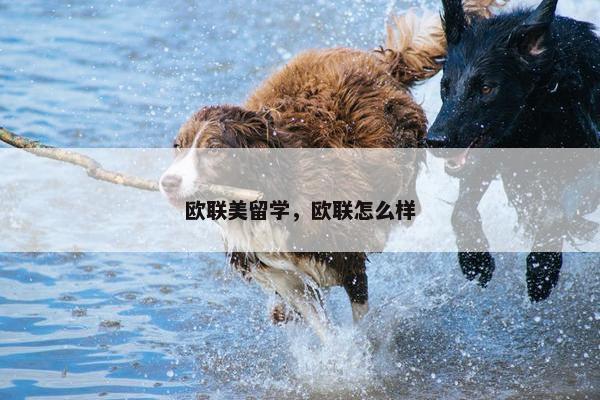 欧联美留学，欧联怎么样