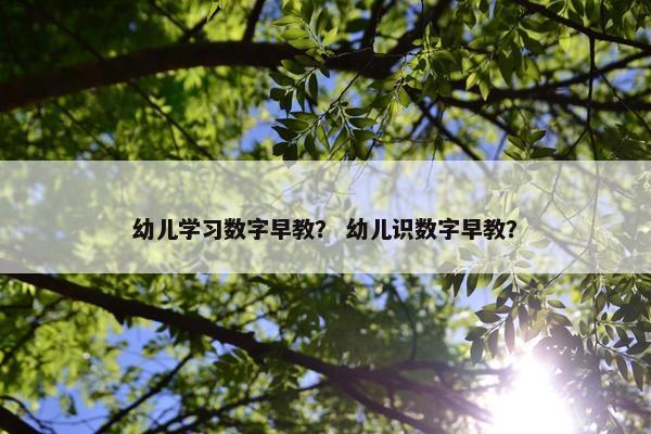 幼儿学习数字早教？ 幼儿识数字早教？