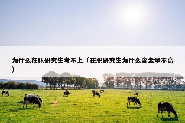 为什么在职研究生考不上（在职研究生为什么含金量不高）