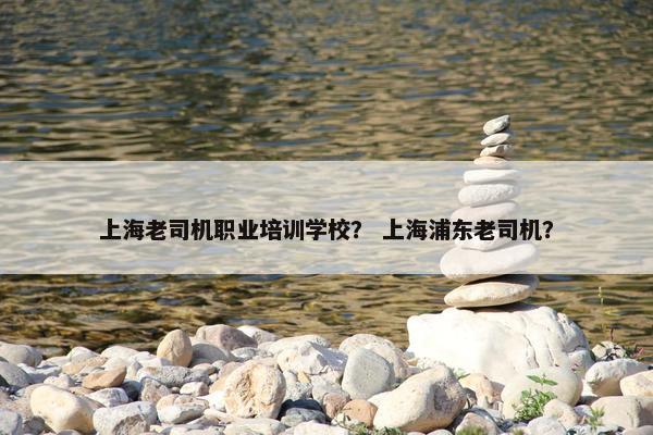上海老司机职业培训学校？ 上海浦东老司机？
