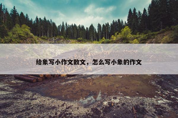 给象写小作文散文，怎么写小象的作文