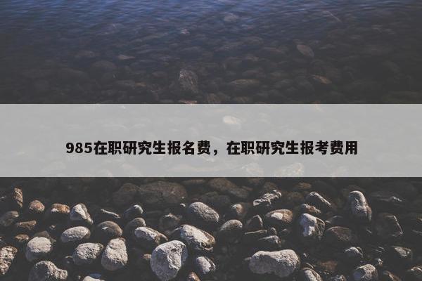 985在职研究生报名费，在职研究生报考费用