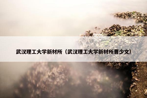 武汉理工大学新材所（武汉理工大学新材所曹少文）