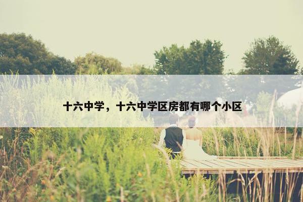 十六中学，十六中学区房都有哪个小区
