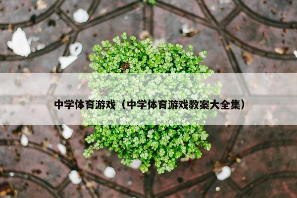 中学体育游戏（中学体育游戏教案大全集）