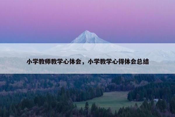 小学教师教学心体会，小学教学心得体会总结