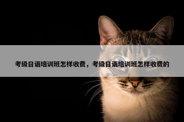 考级日语培训班怎样收费，考级日语培训班怎样收费的