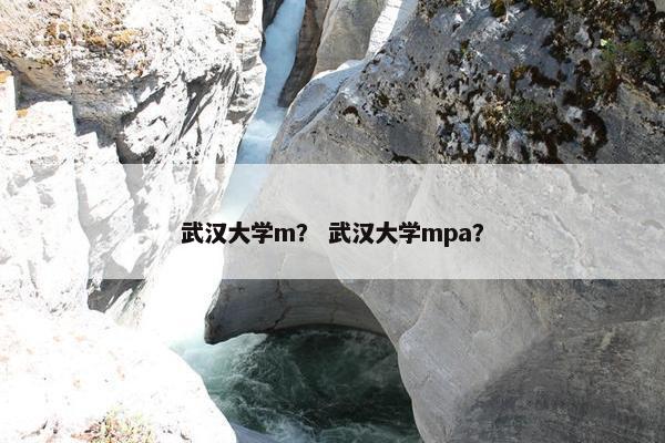 武汉大学m？ 武汉大学mpa？