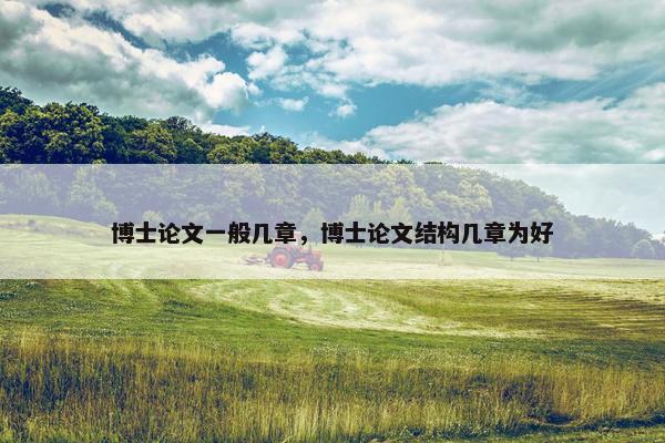 博士论文一般几章，博士论文结构几章为好