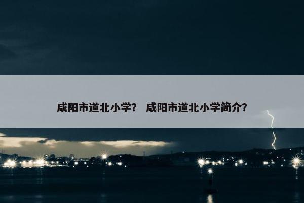 咸阳市道北小学？ 咸阳市道北小学简介？