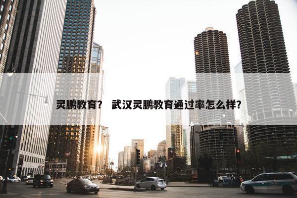 灵鹏教育？ 武汉灵鹏教育通过率怎么样？