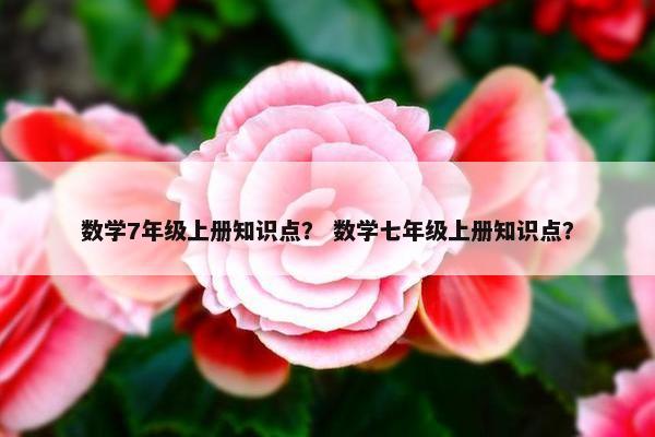 数学7年级上册知识点？ 数学七年级上册知识点？