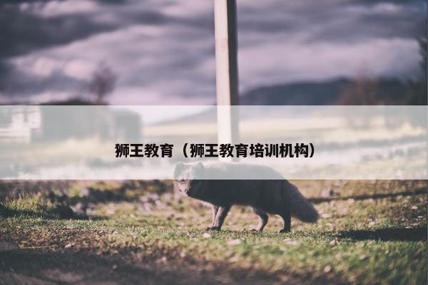 狮王教育（狮王教育培训机构）