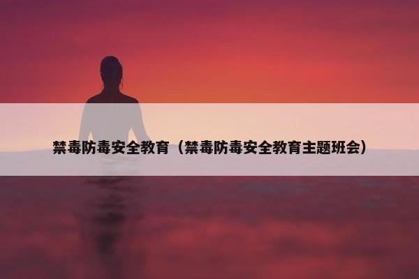 禁毒防毒安全教育（禁毒防毒安全教育主题班会）