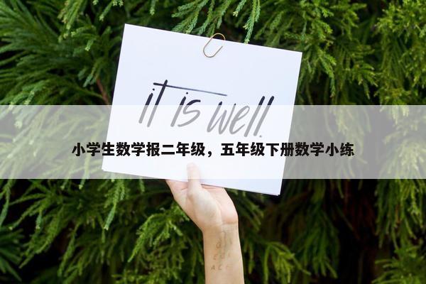 小学生数学报二年级，五年级下册数学小练