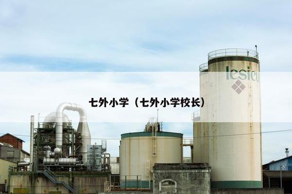 七外小学（七外小学校长）