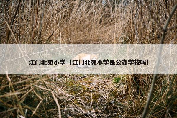 江门北苑小学（江门北苑小学是公办学校吗）