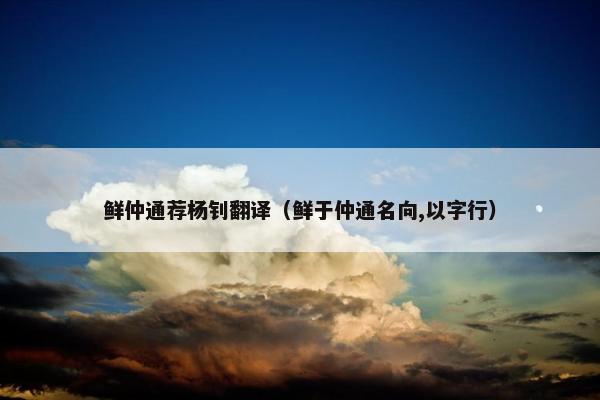 鲜仲通荐杨钊翻译（鲜于仲通名向,以字行）