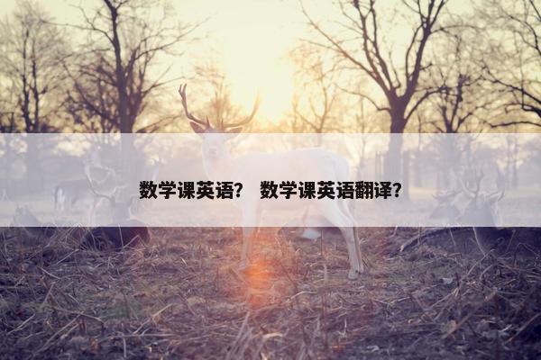 数学课英语？ 数学课英语翻译？