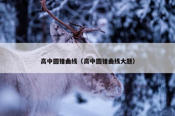高中圆锥曲线（高中圆锥曲线大题）