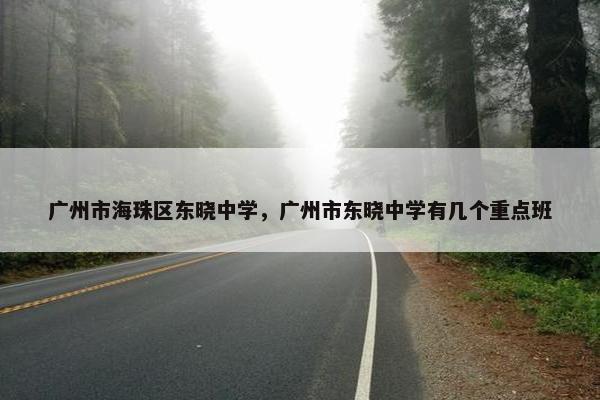 广州市海珠区东晓中学，广州市东晓中学有几个重点班