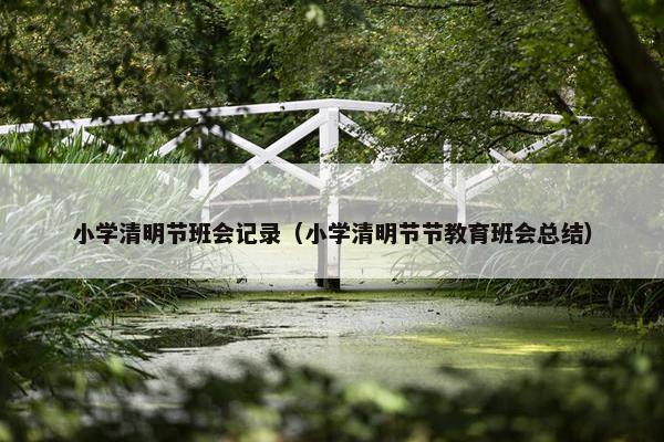 小学清明节班会记录（小学清明节节教育班会总结）