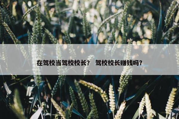 在驾校当驾校校长？ 驾校校长赚钱吗？
