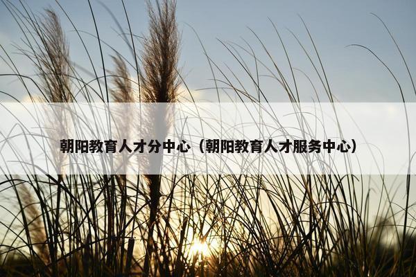 朝阳教育人才分中心（朝阳教育人才服务中心）