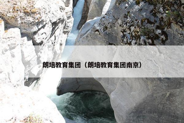 朗培教育集团（朗培教育集团南京）