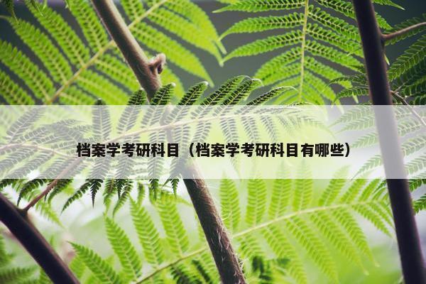 档案学考研科目（档案学考研科目有哪些）