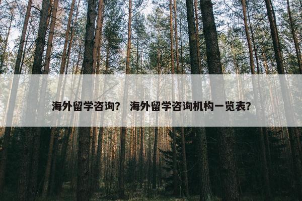 海外留学咨询？ 海外留学咨询机构一览表？