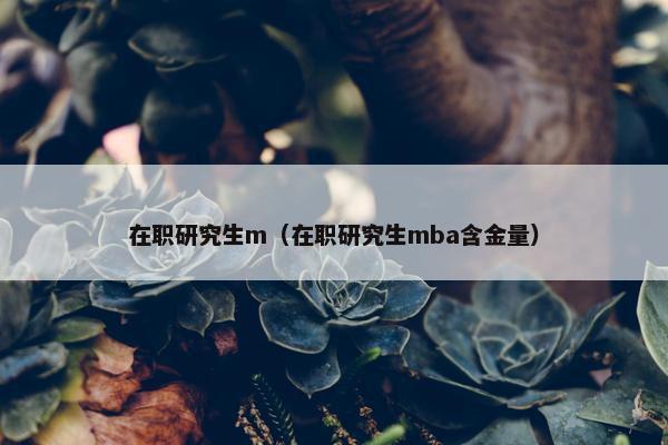在职研究生m（在职研究生mba含金量）