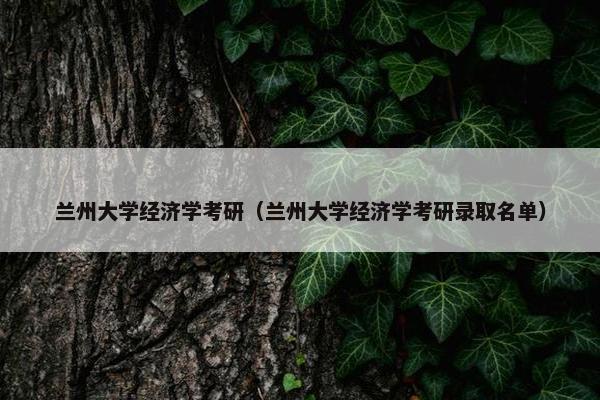 兰州大学经济学考研（兰州大学经济学考研录取名单）