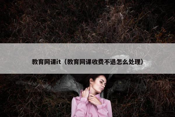 教育网课it（教育网课收费不退怎么处理）