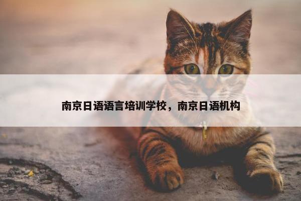 南京日语语言培训学校，南京日语机构
