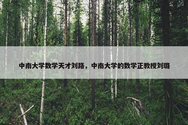 中南大学数学天才刘路，中南大学的数学正教授刘璐