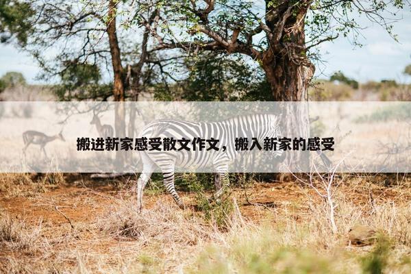 搬进新家感受散文作文，搬入新家的感受
