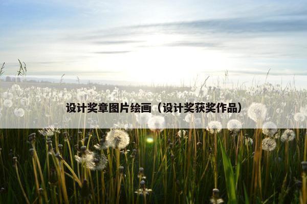 设计奖章图片绘画（设计奖获奖作品）