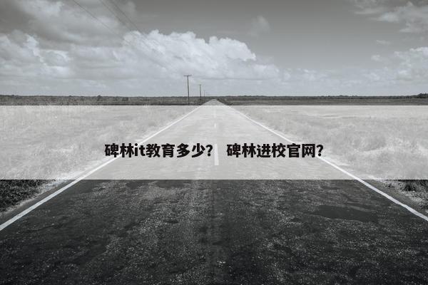 碑林it教育多少？ 碑林进校官网？