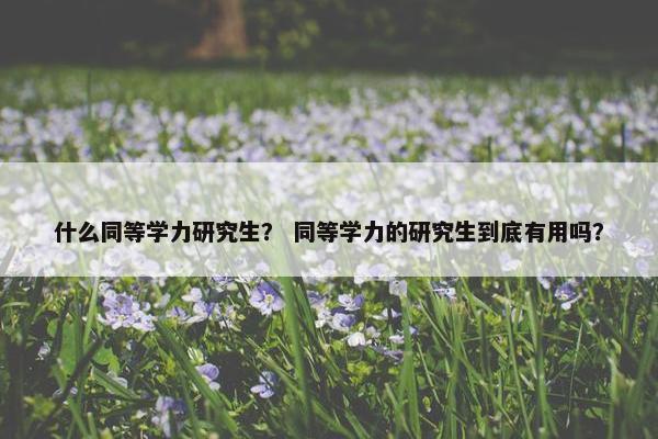 什么同等学力研究生？ 同等学力的研究生到底有用吗？