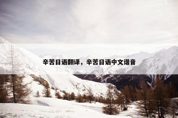 辛苦日语翻译，辛苦日语中文谐音
