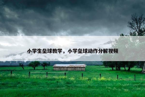小学生垒球教学，小学垒球动作分解视频