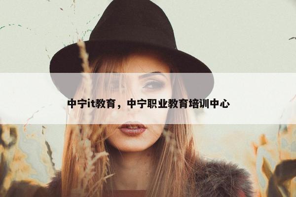 中宁it教育，中宁职业教育培训中心