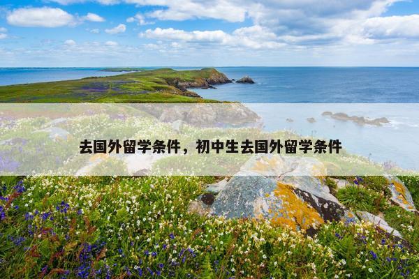 去国外留学条件，初中生去国外留学条件