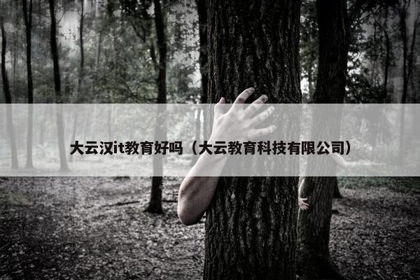大云汉it教育好吗（大云教育科技有限公司）