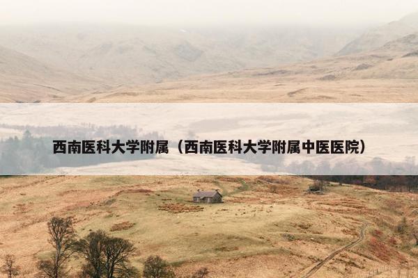 西南医科大学附属（西南医科大学附属中医医院）