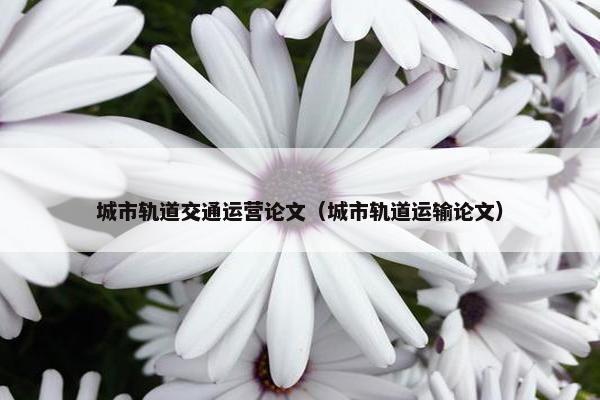 城市轨道交通运营论文（城市轨道运输论文）