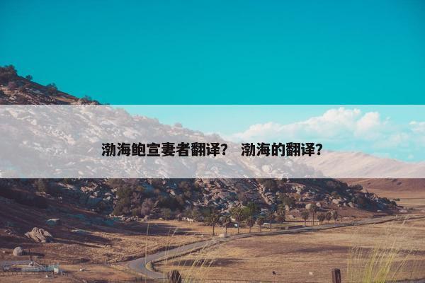 渤海鲍宣妻者翻译？ 渤海的翻译？
